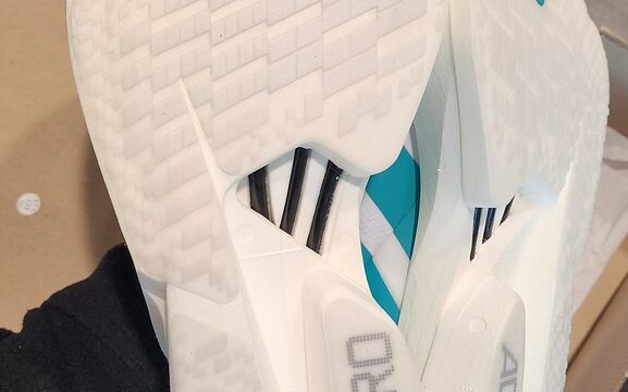 55233832772_13661c5ae2_b-1