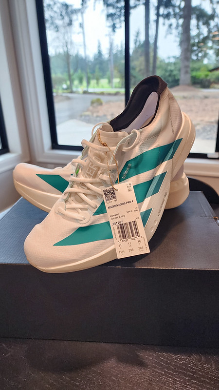 55234739531_b814711396_c-1