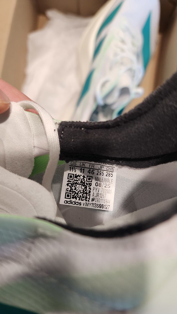 55235141155_661cb89942_b-1